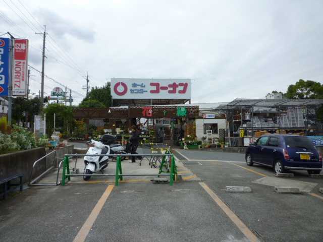 谷マンション ホームセンター：コーナン東茱萸木店　1700m　1F