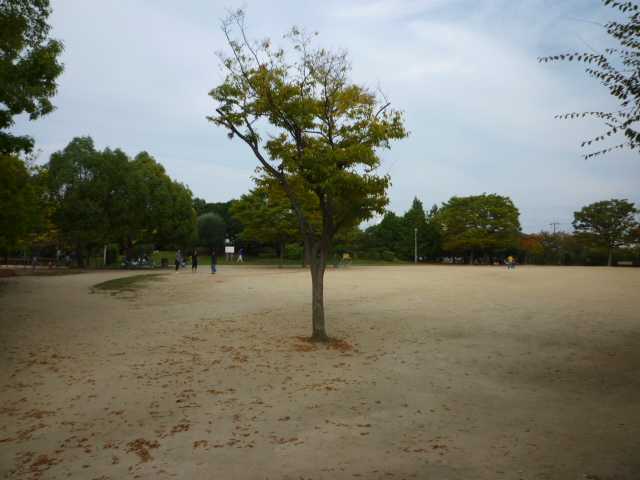 津々山グリーンハイツⅠ 公園：富田林市立津々山台幼稚園　217m